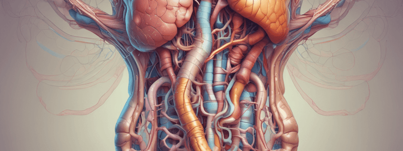 CHAPTER 15. QUIZ 2. GI Tract Motility and Transit Time