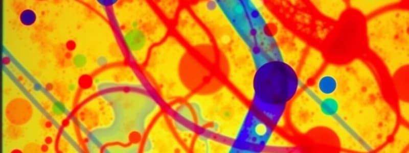 Molecular Biology: PCR and Gel Electrophoresis