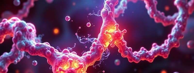 Biochemistry: Enzymes and Their Function