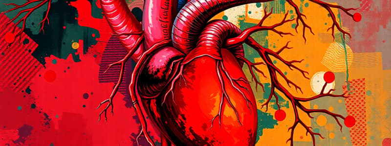 Human Biology: Cardiovascular System Quiz