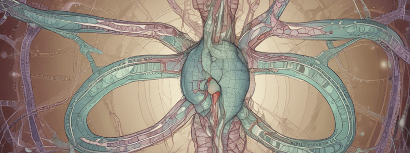 Enteric Nervous System Quiz