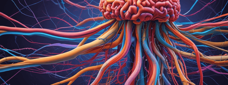 Nervous System Overview