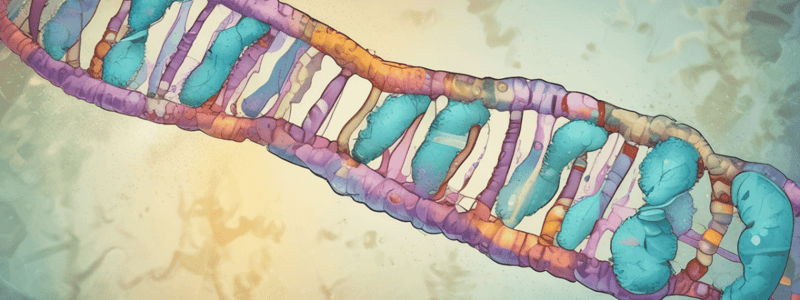 Chromosome Structure and DNA Replication