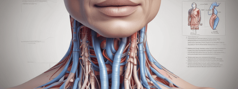 Anatomy of the Thyroid Gland