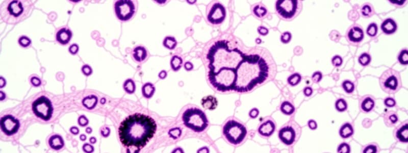 Histologie: Tissus et Fonctions Cellulaires