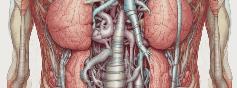 The Digestive System