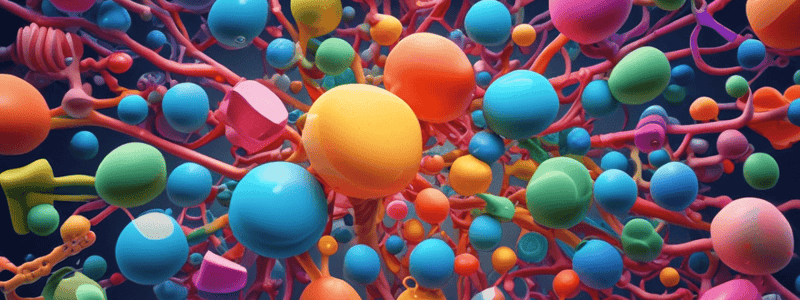 Carbohydrate Structure: Macromolecules and Energy Source