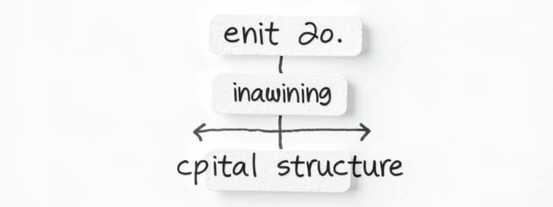 Investment and Financing Decisions