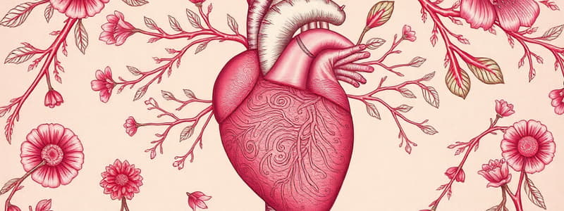 Cardiovascular System Module