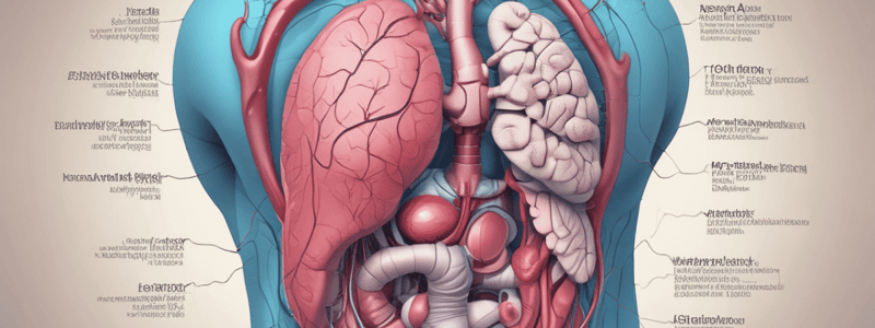 Block Z-2 - Oral Pathology and Internal Organs (Questions 41-85)