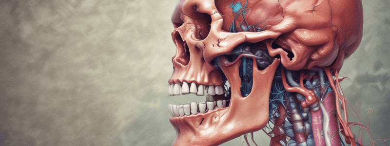 Adenomatoid Odontogenic Tumor