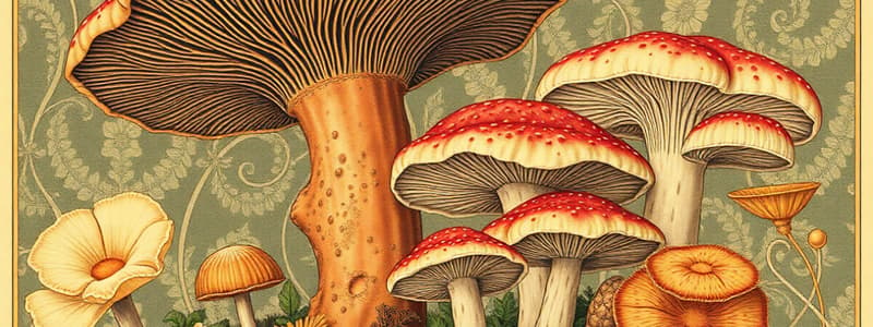 Fungi Overview Quiz