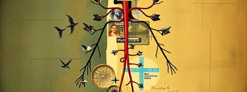 Endocrine System Overview