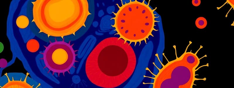 Biology Chapter 5: Multicellular vs Unicellular