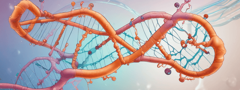 RNA Processing and Maturation