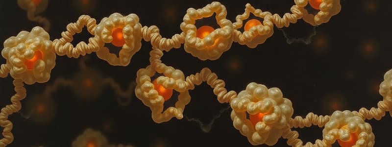 Ribosomes et leur Fonctionnalité