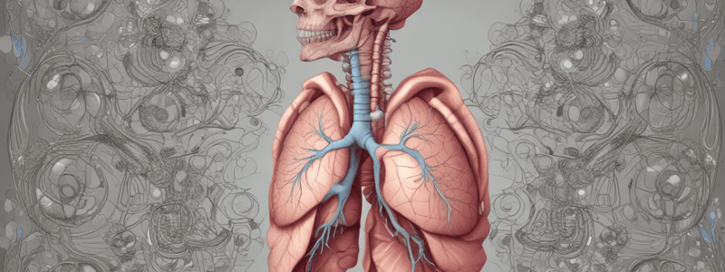 Respiratory Anatomy 1.1