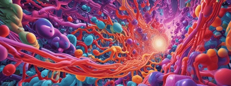 ADRs of Cardio-Selective B-Blockers and Mechanism of CCBs