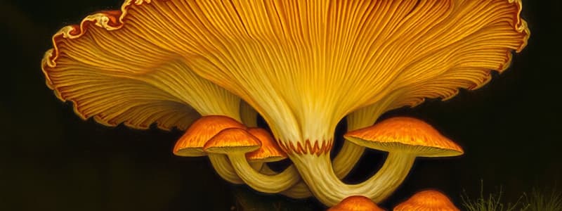 Fungi: Structure and Reproduction