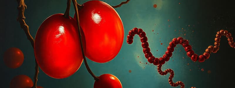 Hemoglobin và chức năng của nó