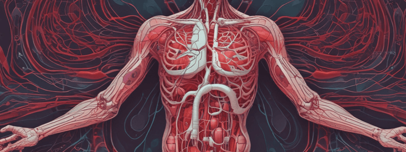 Blood Vessels in the Torso and Head