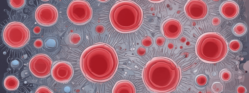 Haematopoiesis Quiz