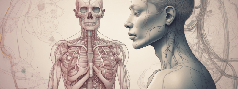 MPharm PHA112: The Respiratory System