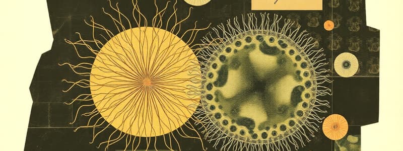 Unicellular vs Multicellular Organisms