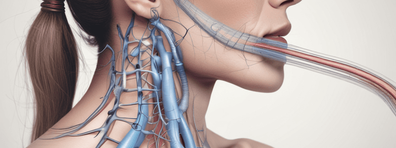 Respiratory Assessment