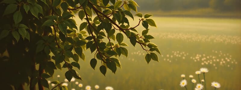 Biotecnología Agrícola con APOLO Biotech