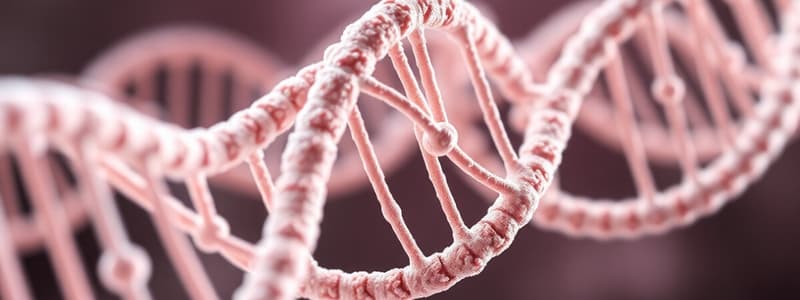 Molecular Biology: DNA Structure & Function