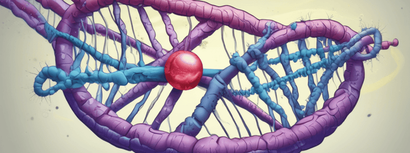 Biologie de la sénescence cellulaire