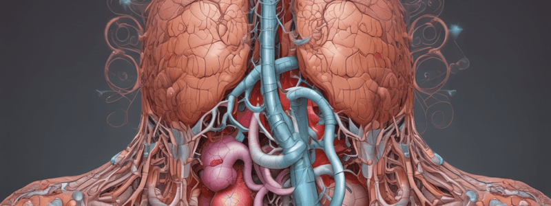 Lecture 1 Digestive System - A+P2