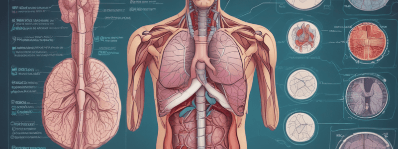 Medical Terminology Quiz