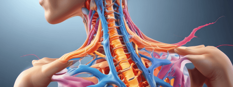 Cervical Radiculopathy and Radicular Pain Quiz