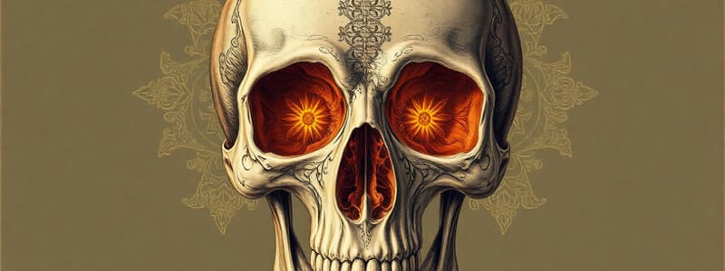 Human Osteology and Skull Differences