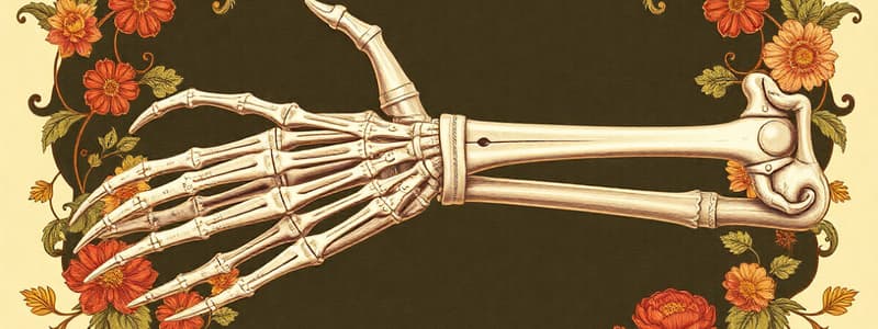 Fractures & Dislocations of the Upper Limb