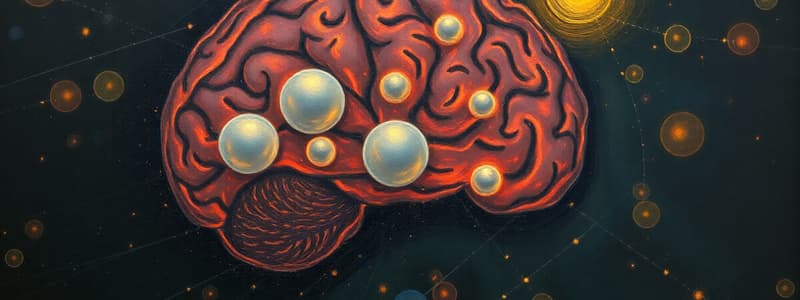 Cognitive Neuroscience Overview