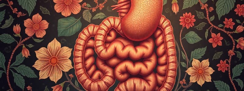 Dislipidemias y Órganos Digestivos