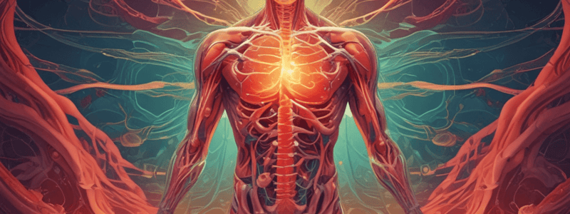 SAQ - Regulation of body temperature