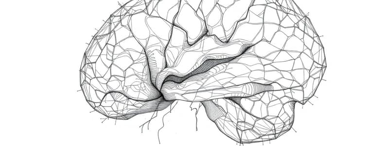 Introduzione alla Neurofisiologia Sensoriale (Fisiologia 69)