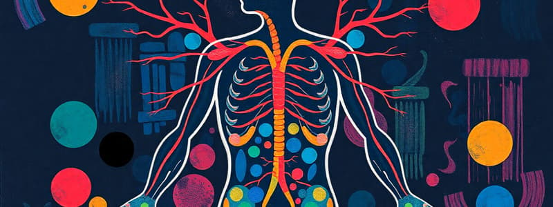 Endocrine System Functions Quiz