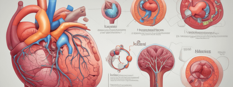 Liver Physiology: Carbohydrate Metabolism and Glucose Regulation