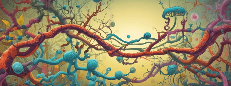 Transcription and RNA Synthesis