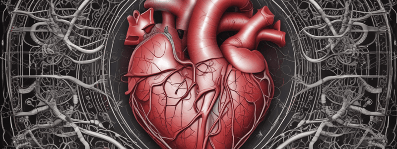 Development of the Heart Overview