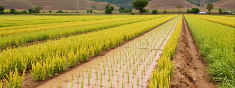 तारामिरा: एक कृषि अध्ययन