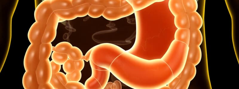 Pancreatic Phase and Secretion Quiz