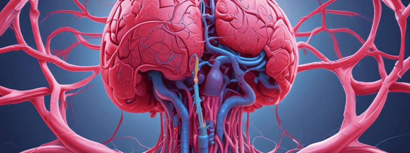 L25 Pulmonary, cutanous and cerebral circulations