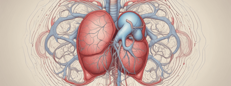 Integration of Systems in Oxygen Delivery and Carbon Dioxide Removal