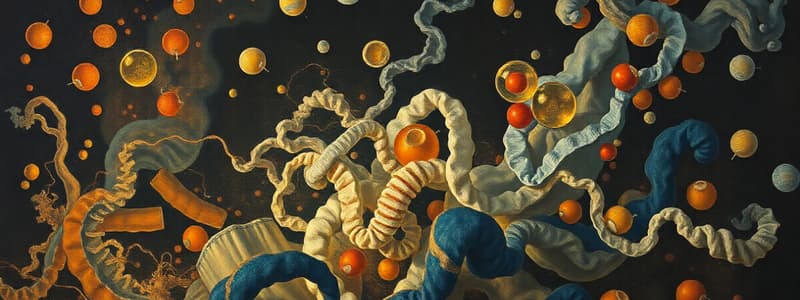 Metabolism of Nitrogenous Compounds